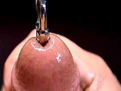 Ultimate close-up of a beautiful creature's cock hole being sounded with a penis plug on cam
