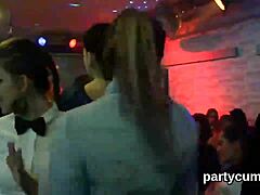 Нощен клуб: секси мъже танцуват и смучат петел