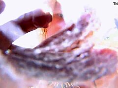 美しい浣腸をフィーチャーしたウェットアンドワイルドフェティッシュビデオ