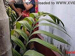 Ινδική νοικοκυρά απολαμβάνει υπαίθριο σεξ στον κήπο ενώ φοράει ένα saree